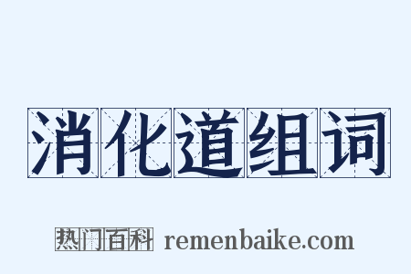 消化道组词是什么意思的图片